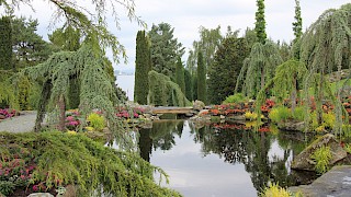 Et bilde som inneholder utendørs, plante, Botanisk hage, vann