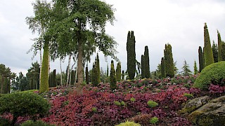 Et bilde som inneholder plante, utendørs, himmel, Botanisk hage